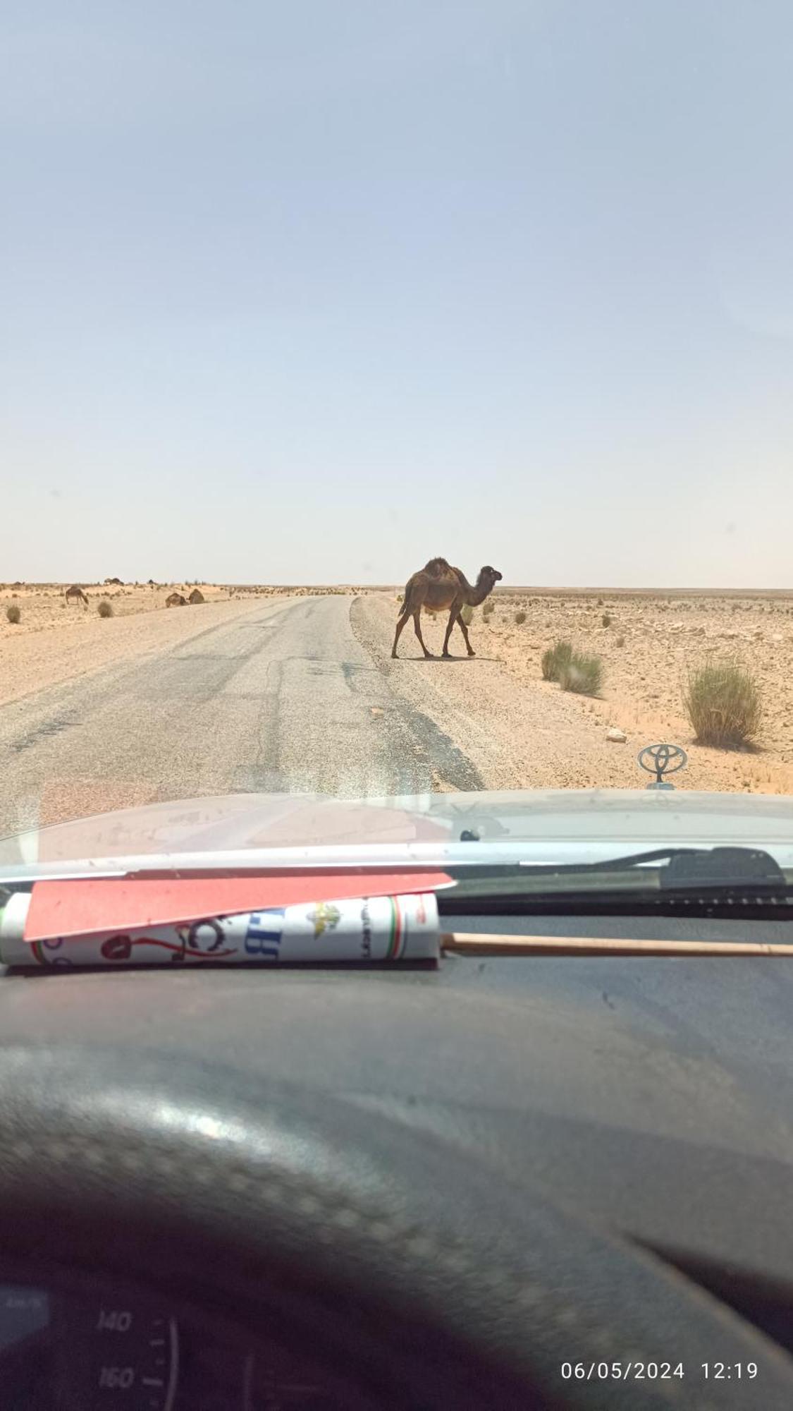 Dar Lagune Djerba Vue De Mer Al Haddadah Exterior foto