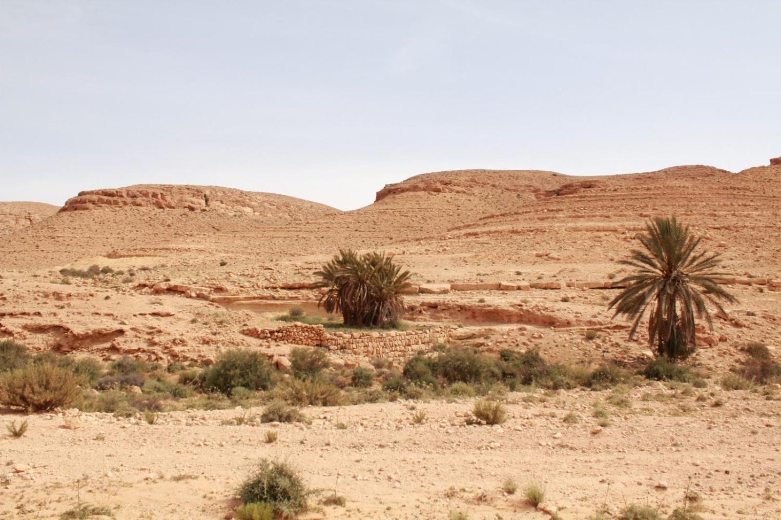 Dar Lagune Djerba Vue De Mer Al Haddadah Exterior foto