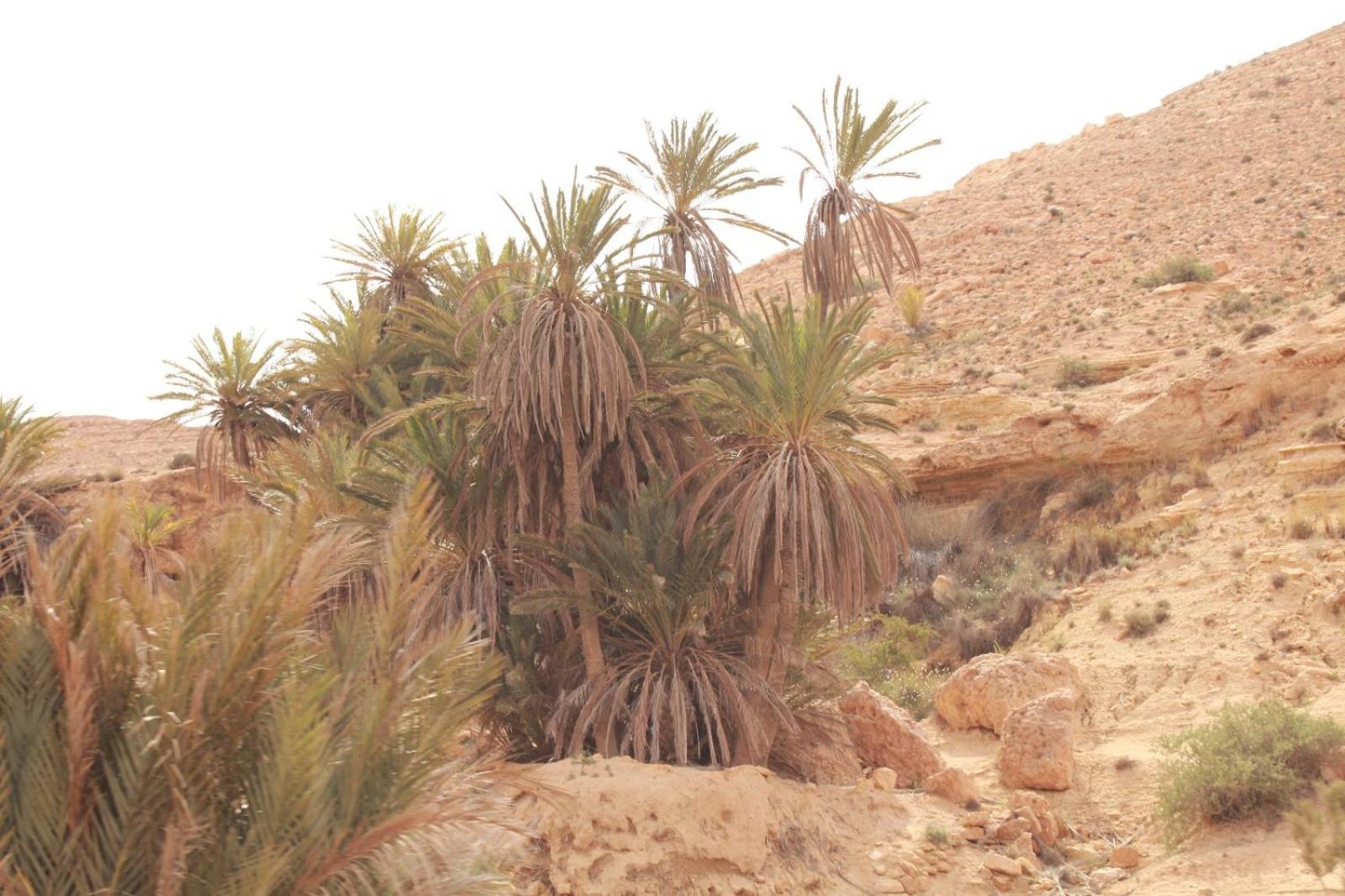 Dar Lagune Djerba Vue De Mer Al Haddadah Exterior foto